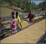 Etiopia - Sidamo Dembi