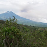 Guatemala - Huehuetenango Mariola Lopez